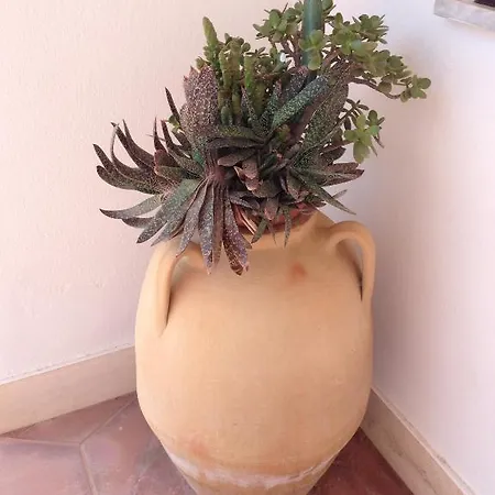 Villataty